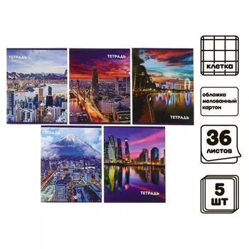 Набор тетрадей, 36 листов в клетку, calligrata