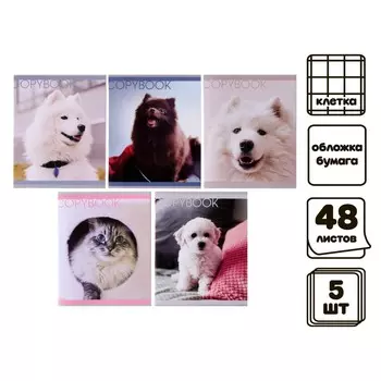 Набор тетрадей, 48 листов в клетку, calligrata