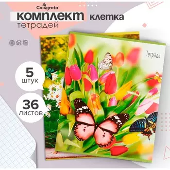 Набор тетрадей 36 листов в клетку, calligrata