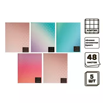 Комплект тетрадей из 5 штук (4 разные + 1 повторяющаяся), 48 листов в клетку calligrata