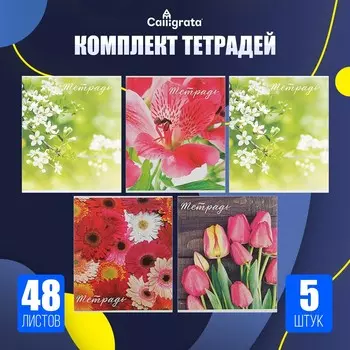 Набор тетрадей 48 листов в клетку, calligrata