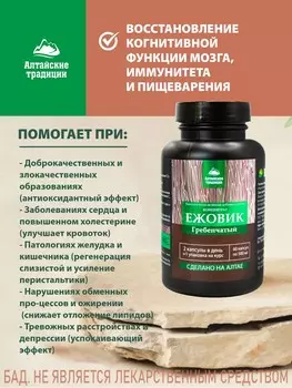 Концентрат ЕЖОВИК гребенчатый Премиум для мозговой активности, ноотроп, для иммунитета, для пищеварения, 60 капсул, Алтайские традиции