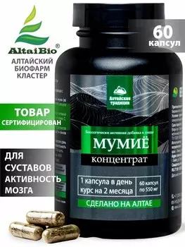 Концентрат МУМИЕ Премиум с лецитином+витамин С для желудка, суставов, хрящей, иммунитета, 60 капсул