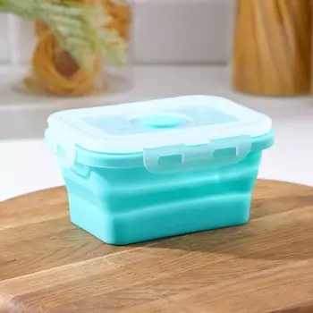 Контейнер складной с крышкой доляна