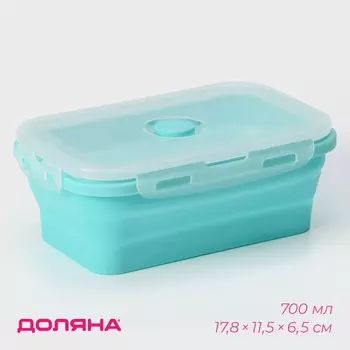 Контейнер складной с крышкой доляна