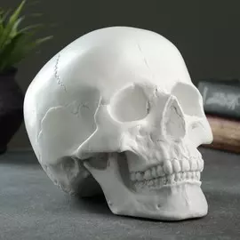 Копилка для денег