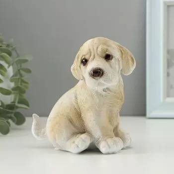 Копилка для денег