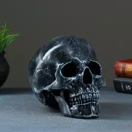 Копилка для денег