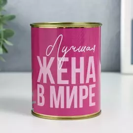 Копилка-банка металл