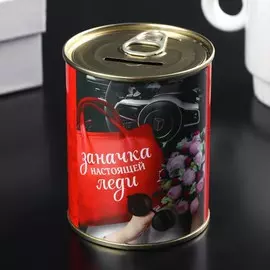 Копилка-банка металл