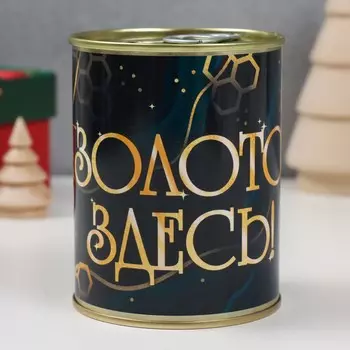 Копилка-банка металл