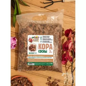 Кора сосны