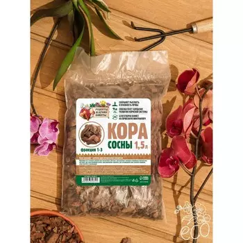 Кора сосны