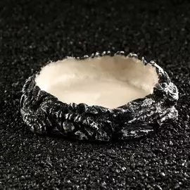 Кормушка для террариума, 16164 см