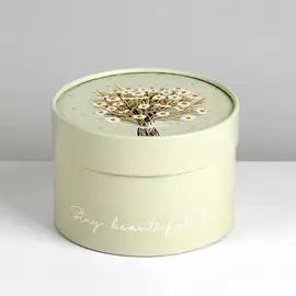 Коробка подарочная, упаковка,