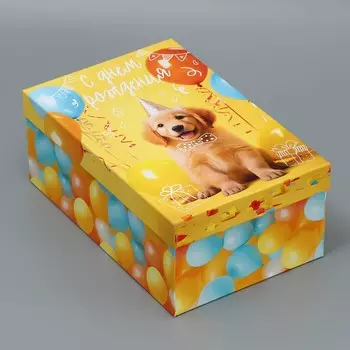 Коробка подарочная прямоугольная, упаковка,