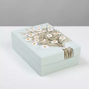 Коробка подарочная складная, упаковка,