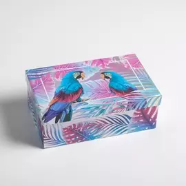 Коробка прямоугольная иридисцентная