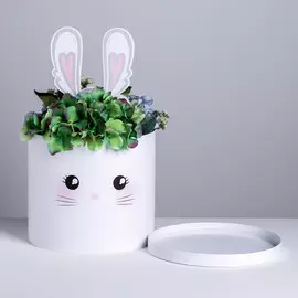 Коробка шляпная для цветов с доп. элементом