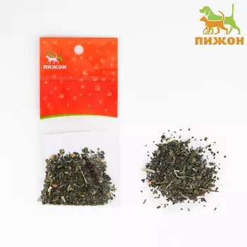 Кошачья мята