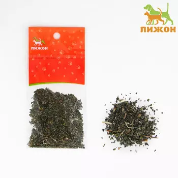 Кошачья мята