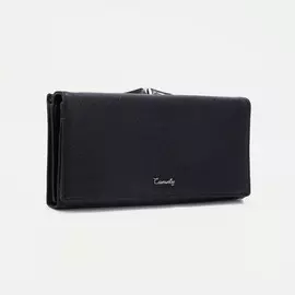 Кошелек на магнитах, цвет черный