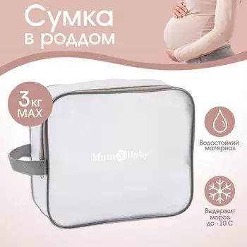 Косметичка для роддома 20х25х10 пвх