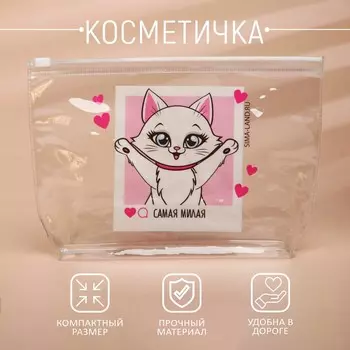 Косметичка из прозрачного pvc 21 х2 х14 см