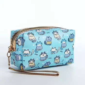 Косметичка на молнии объемная, с ручкой, маленькая, с принтом, голубая