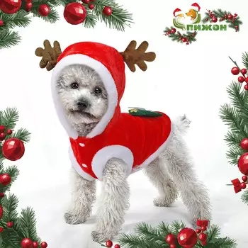 Костюм для животных