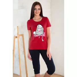 Костюм футболка бриджи