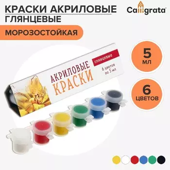 Краска акриловая, набор 6 цветов х 5 мл, shine, calligrata kid, глянцевые (повышенное содержание пигмента), морозостойкие