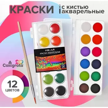 Краски акварельные 12 цветов, круглые, диаметр кюветы 28 мм, с кистью, пластиковый пенал, calligrata top