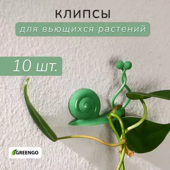 Крепления для вьющихся растений, настенные, самоклеящиеся,