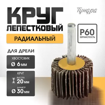 Круг лепестковый радиальный тундра, 30206 мм, р60