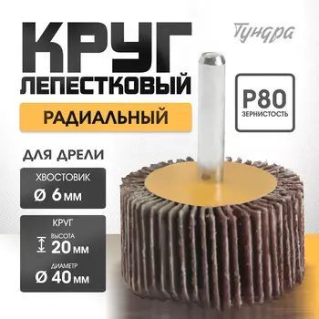 Круг лепестковый радиальный тундра, 40206 мм, р80