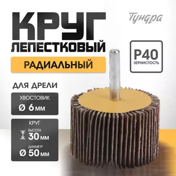 Круг лепестковый радиальный тундра, 50306 мм, р40