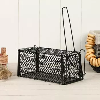 Крысоловка, 24 12 12 см, металлическая, greengo