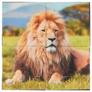 Кубики Умные игры 01318-ANI