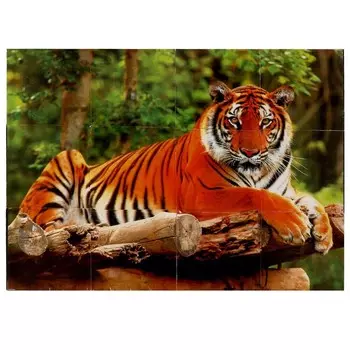 Кубики Умные игры 4680107999849