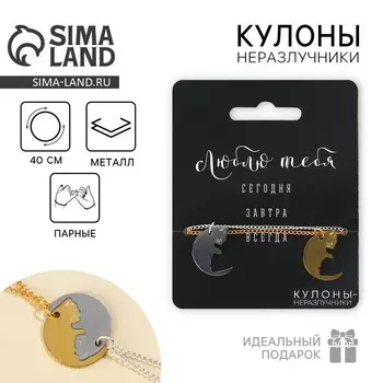 Кулоны неразлучники