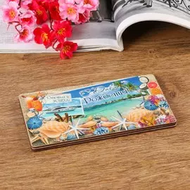 Купюрница на магнитах