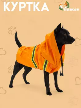 Куртка для собак с подкладом, размер s (дс 25, ог 34 см, вес 2-4 кг), оранжевая