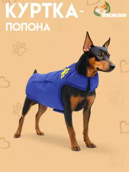 Куртка - попона двусторонняя, размер s (дс 24, ог 38 см, вес 4-6 см), синяя