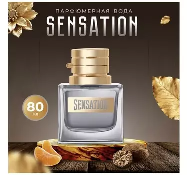 LA VIE Парфюм/вода муж. Sensation Pour Homme 80мл