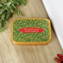 Ланч - бокс новогодний