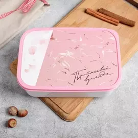 Ланч - бокс прямоугольный