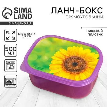 Ланч - бокс прямоугольный
