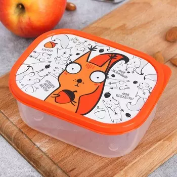 Ланч - бокс прямоугольный