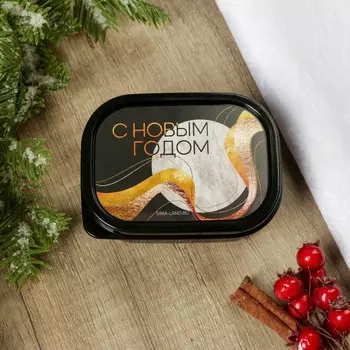 Ланч - бокс новогодний